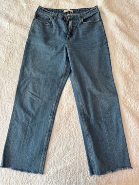 Abercrombie & Fitch Curve Love Vintage Straight leg Jeans in Blue Denim